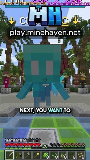 How to Get Started On The Public Survival SMP! (Bedrock and Java)
