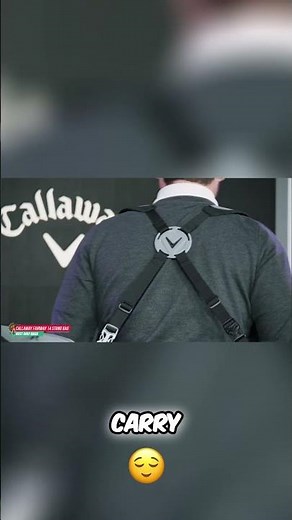 Callaway Fairway 14 Stand Bag: Cart Bag Comfort, Stand Bag Convenience #shorts