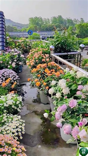 ASMR Flower Garden – Soft Music & Birdsong — Relaxing Nature Ambience 4k #asmr #shorts