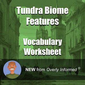 Tundra Biome Features Vocabulary Worksheet