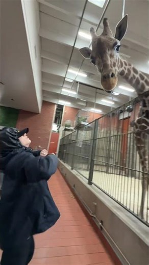 @denverzoo