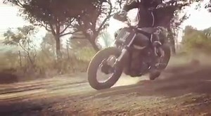6.5K views · 378 reactions | Introducing Harley-Davidson Flat Track...