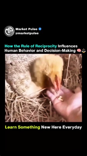 Market Pulse on Instagram: "The rule of reciprocity works because humans are wired to return favors, even when the exchange isn’t logical or equal. When someone gives us something first — help, a gift, a concession — our brain treats it as social debt. This pressure operates subconsciously, pushing people to comply, agree, or decide in ways they normally wouldn’t. It’s why small free samples boost sales, why negotiations start with concessions, and why favors are one of the strongest tools for i
