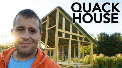 Architecting the ultimate duck house for maximum health and safety