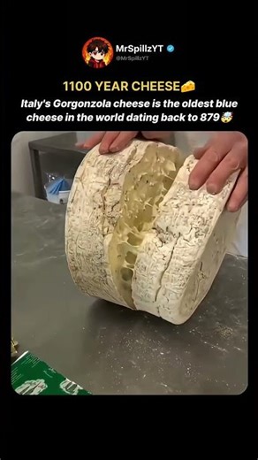 The Oldest Blue Cheese in the World 🧀