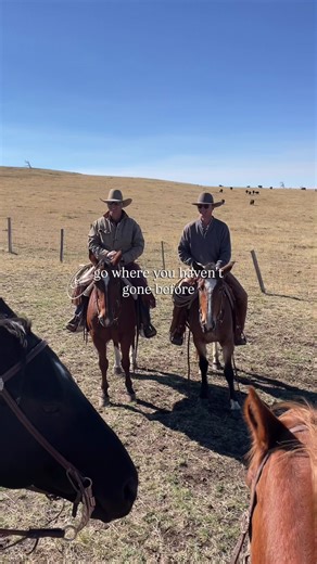 4 years ago, I said YES to visiting a friend’s ranch in Wyoming, and the decision changed my life forever. 👉 I ended up leaving my author career and moving to a rural ranching community to learn about the cattle business. Now I’m married to a cowboy and have the privilege of working in the industry every day. I’ve learned that success is less about talent and more about audacity—the willingness to speak up, ask for opportunities, chase risky dreams, and be uncomfortable for the sake of the stor