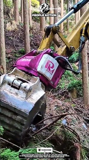 Forestry People Removing Tree Stump Using Excavator During Land Clearing Action