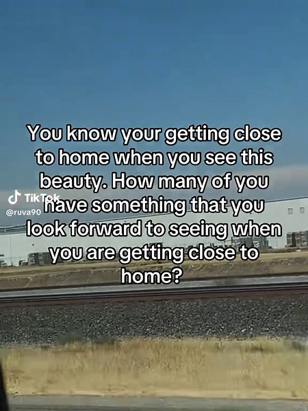 Delicious Halos Tangerines: A Juicy Treat