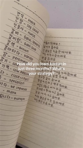Korean Study Strategy: Learn Korean in Three Months