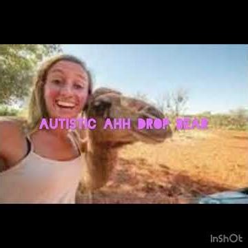 More memes for yall (PLS SUB) #meme #australia #funny #wildlife
