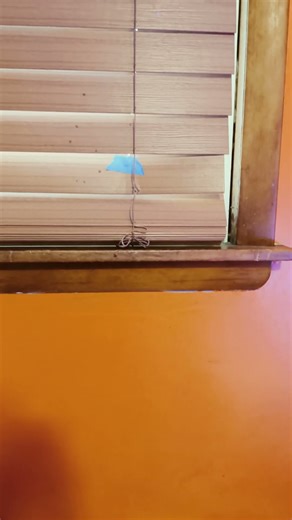 #edit #butifyoucloseyoureyes #bfb #helpmemakethismakesense #memes #funny #theothersideofmakebelieve