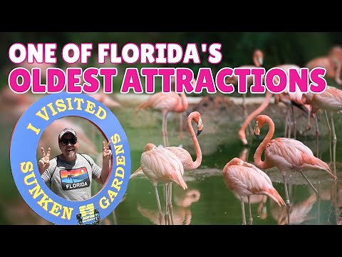 Sunken Gardens: A Classic Florida Attraction