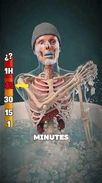 Ice Bath: the human limit #3d #anatomy #annimation #interesting
