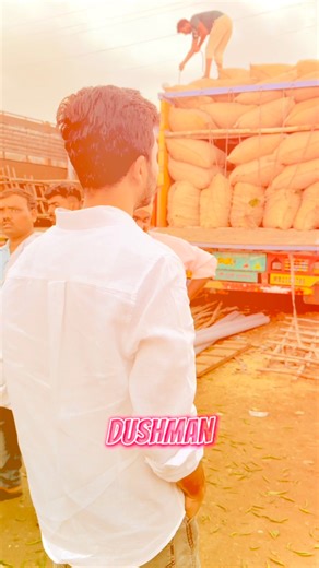 Azeem Deshmukh | Export Green Chillies India To Bangladesh ️ #business #entrepreneur #export #vegetables #fruit #marketing #jafrabad #jalna #chikhli... | Instagram