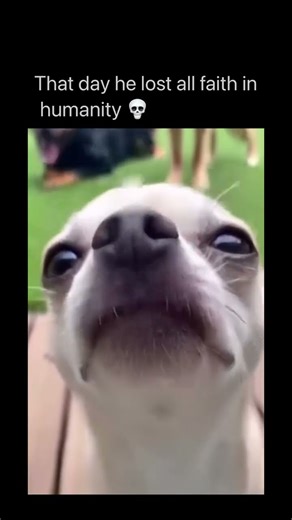 “Top Viral Moments of the Day 🔥 #trending #viralvideo #views#viralvideo #follow