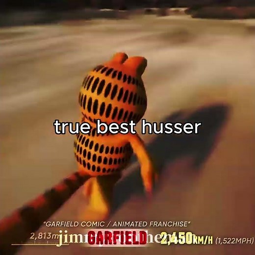 garfield is the true husser #hussvalley #funny #speed