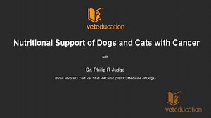 𝑫𝒐𝒆𝒔 𝒎𝒚 𝒑𝒂𝒕𝒊𝒆𝒏𝒕𝒔' 𝒄𝒂𝒏𝒄𝒆𝒓 𝒅𝒊𝒂𝒈𝒏𝒐𝒔𝒊𝒔 𝒎𝒆𝒂𝒏 𝒂 𝒅𝒊𝒆𝒕 𝒄𝒉𝒂𝒏𝒈𝒆? The 𝐎𝐧𝐜𝐨𝐥𝐨𝐠𝐲 𝐟𝐨𝐫 𝐕𝐞𝐭 𝐍𝐮𝐫𝐬𝐞𝐬 𝐂𝐨𝐮𝐫𝐬𝐞 starts in 6 days! Find out the answers to this and many more oncology related question in this 3 week interactive and tutor guided course - Details here: https://veteducation.com.au/vet-nurse-course/veterinary-nurses-oncology/ | VetEducation