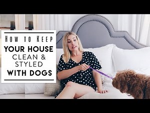 CLEAN WITH ME | How to Keep Your House Clean and Styled with Dogs