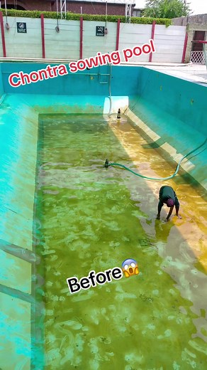 Transform Your Pool with Chontra's Spectacular Sowing!