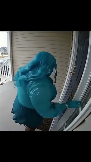 Porch Pirate vs Surprise Box