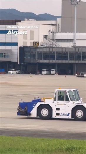 JA830A プッシュバック完了っ！✈️😊👍✨ | Schwaltz Walt