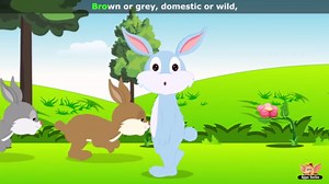 Rabbit Rhymes, Rabbit Animal Rhymes Videos for Children