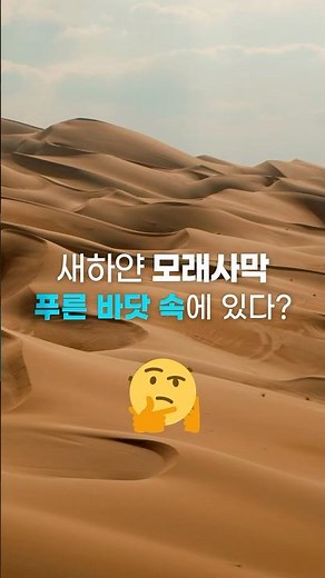 바다 사막화 해결을 위한 해양 생태계 개선사업, 성과는?(feat.독도) #기후변화 #기후위기 #지구온난화 #바다숲 #독도