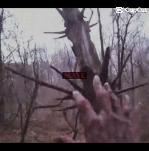 #capcut Alan tutorial