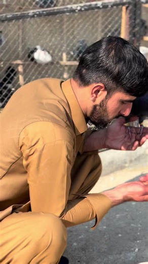 Ao Billa & Fareed Ostad Full Mod Water Review