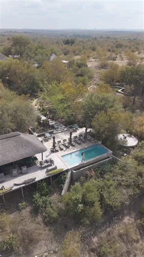 Dive into safari luxury! Misava safari camp combines breathtaking views over the South African wilderness with the privacy and luxury of a 5* safari lodge. Isn't it time to tick off that bucket list vacation? Tag a friend you'd bring with you in the comments 👇 📽️ @adrianaemarquez | Klaserie Drift Safari Camps