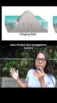 Kenapa bisa ada pulau? Pantai Selatan tidak ada pulau dan langsung tembus sampai Antartika?