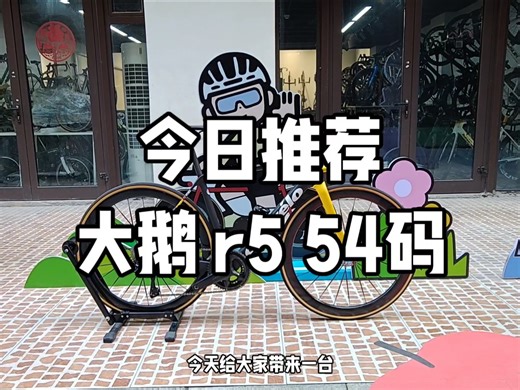 今日推荐 大鹅r5 54码