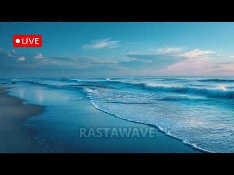 Peaceful Reggae Live Music – Background Chill for Focus