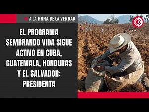The Sembrando Vida program remains active in Cuba, Guatemala, Honduras, and El Salvador: president