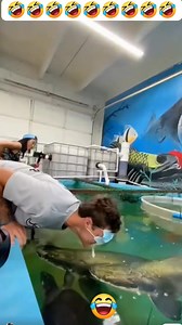 17 reactions · 3 comments | funny #funny #500k | Courage Nhengo | Facebook