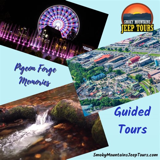️ Dining Delights in Pigeon Forge, TN! Explore the charming town of...