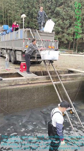 Fresh Catch: Efficiently Loading Live Fish onto a Truck