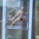 Hummingbird Feeder with Camera for Outdoor - 2K QHD Video, Instant Notifications & AI Bird Species, Ant Moat, Bee Proof, Motion Detection, 2.4G WiFi, Signal Booster, Gift for Bird Lovers Red