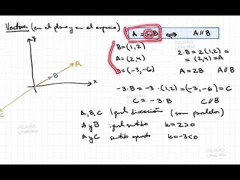 13. Vectores en el plano y espacio (suma, producto escalar y vectorial, paralelos y perpendiculares)