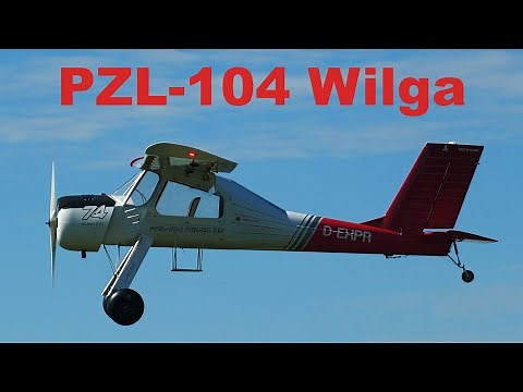 PZL-104 Wilga BADAN | giant scale RC airplane | 4K | Holesov 2021