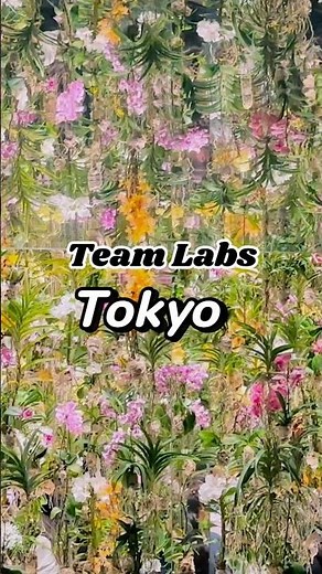 Inside teamLab Planets Tokyo: Walking Through a Digital Universe 🌊✨ | Japan's Most Immersive Art