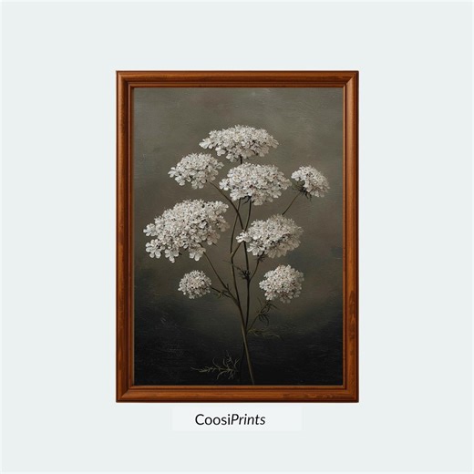 Queen Anne’s Lace | Vintage-style Botanical Flower Illustration | Printable Wall Art | CP-190 - Etsy
