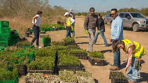 5.9K views · 79 reactions | We are proud to announce the completed...