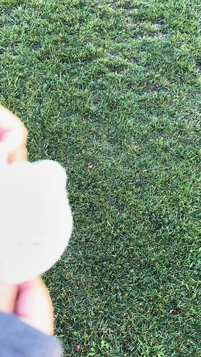 Hello kitty pouch 🐱 #crochet #pouch #kitty #yarn #hook #imadethis | Irma Sandoval