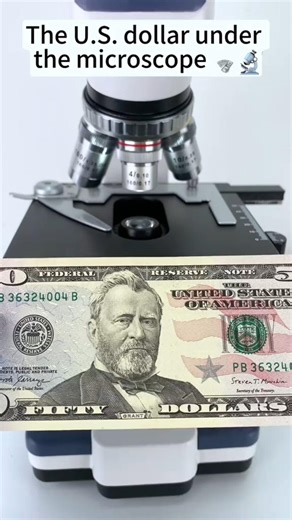 I Put a US Dollar Under a Microscope! 🔬 #usa #ytshorts #dollar