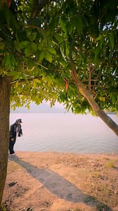 381K views · 17K reactions | WHAT A SONG  MASTERPIECE @remodsouza sir #TuMeriMainTeraMainTeraTuMeri @kartikaaryan @ananyapanday @karanjohar @adarpoonawalla @apoorva1972 @shareenmantri @arora.kishor @bhumikabhandula @sameervidwans @karandontsharma @vishaldadlani @shekharravjiani @anvita_dee @remodsouza @dharmamovies | Sushant Khatri | Facebook