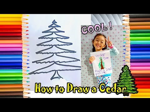 HOW TO DRAW A CEDAR TREE | Step by step procedure for kids | #mummyweng