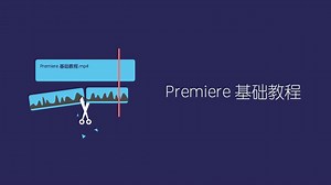 52.PR基础课程第五十二课-SDR遵从情况、剪辑名称