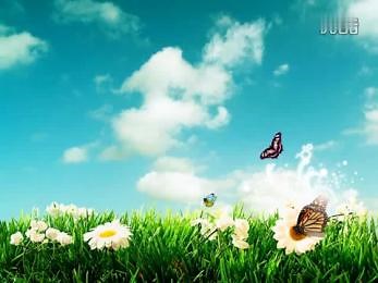 细胞核、染色体、DNA、基因之间的关系