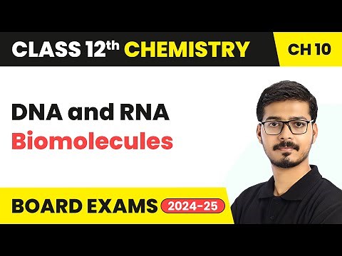 DNA and RNA - Biomolecules | Class 12 Chemistry Chapter 10 | CBSE 2025-26